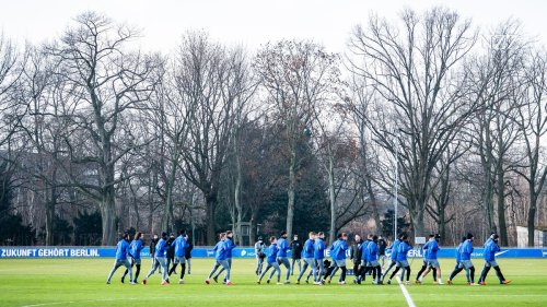 Deutschlands Skandalklub Nummer eins: Wie geht es weiter mit Hertha BSC?
