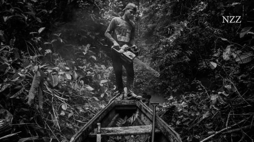 Amazonian Dystopia: Almeida zeigt die Amazonas-Zerstörung