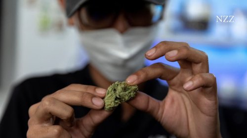 Uno-Drogenbericht: Cannabis-Konsum belastet Gesundheitssysteme