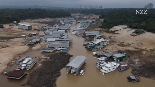 Deutschland nimmt Hilfszahlungen für Amazonas-Schutz wieder auf