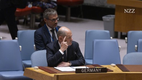«Die deutsche Forderung nach einem ständigen Sitz im UN-Sicherheitsrat war von Anfang an ein totes Pferd»