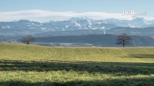 Von Dagmersellen nach Sursee: eine Wanderung mit Weitblick und Naturentdeckungen