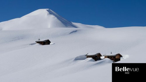 Perle einer Winterwanderung: Drei Stunden unterwegs in stiller Berglandschaft