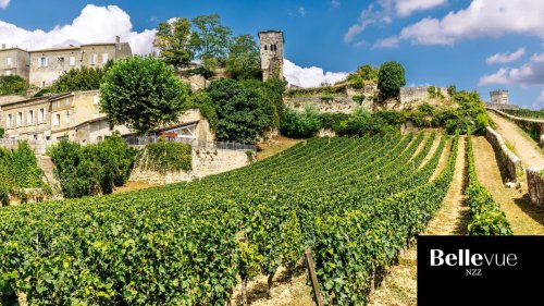 Fünf Bordeauxweine mit Jahrgang 2021, die man jetzt kaufen kann