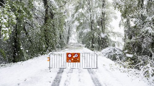 Nach erheblichen Schneefällen vor Ostern sagt ein Walliser Förster: «Der Schnee hat mancherorts die Arbeit von Jahrzehnten zerstört»