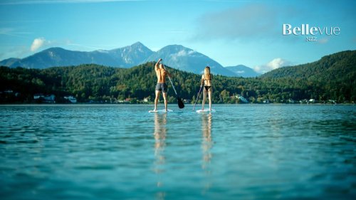 Österreichs blaues Wunder