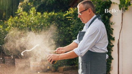 In der Champagne und Pfalz, im Elsass und Baselbiet: Bio-Winzer setzen auf Schaumweine