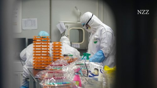 Ursprung des Coronavirus: Ein Laborunfall war eher der Auslöser der Pandemie als eine Zoonose – sagen australische Forscher