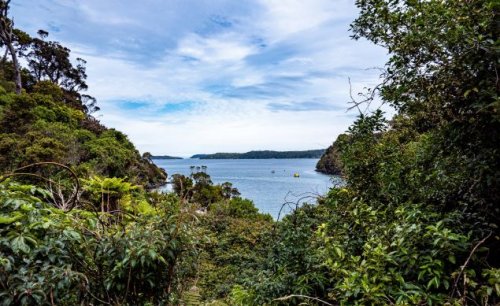 An Adventurer’s Paradise: Everything to Know About New Zealand’s Stewart Island