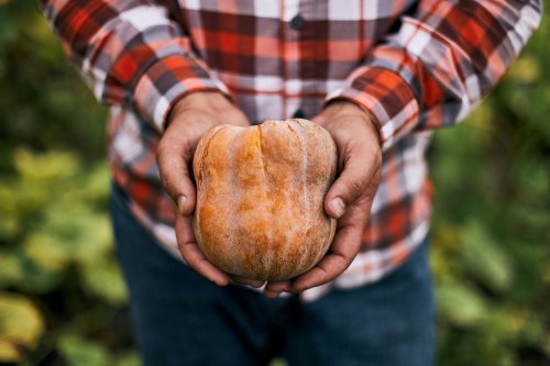 Is This Designer Squash the New ‘It’ Vegetable? Sweetgreen is Betting the Farm On It