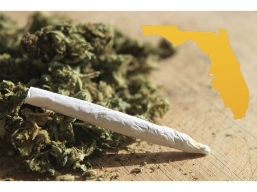 Ocala Post - Bills would decriminalize marijuana in Florida
