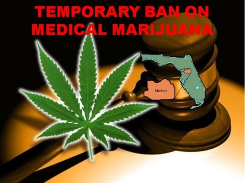 Ocala Post - Marion officials planning temporary ban on medical marijuana