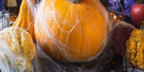 How to create scary Halloween costumes and decorations from secondhand stores