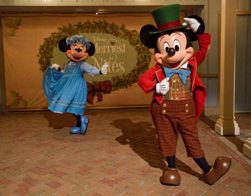 Disneyland cover image