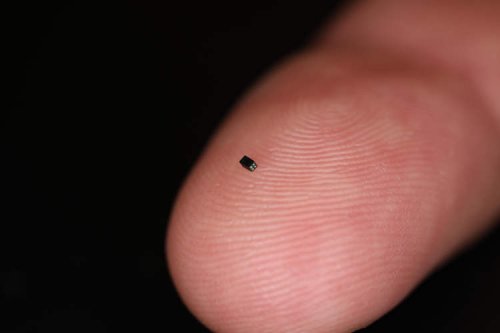 The World’s Smallest Commercially Available Camera Is the Size of a Grain of Salt