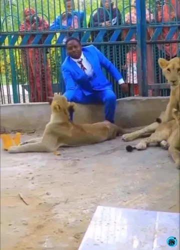Pastor Allegedly Goes into Lions’ Cage to Demonstrate Divine Protection
