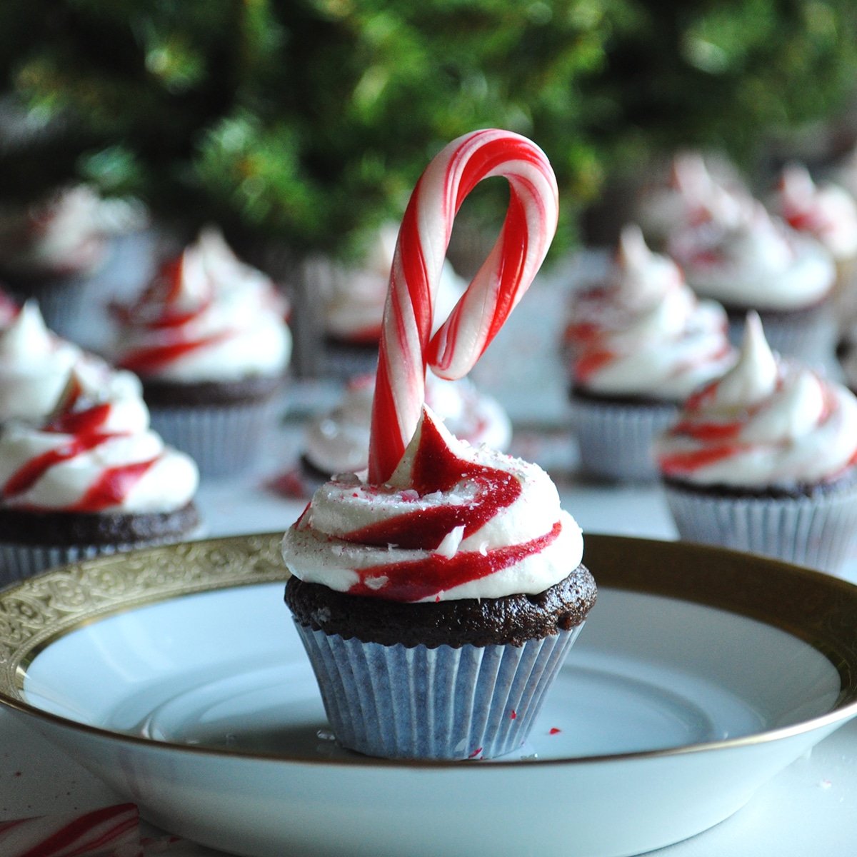 Chocolate Peppermint Cupcakes with Cream Cheese Buttercream