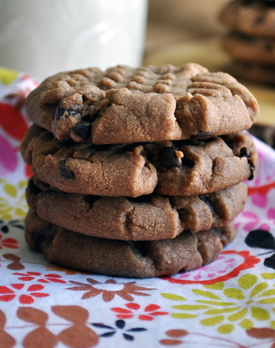 Chocolate Peanut Butter Cookies