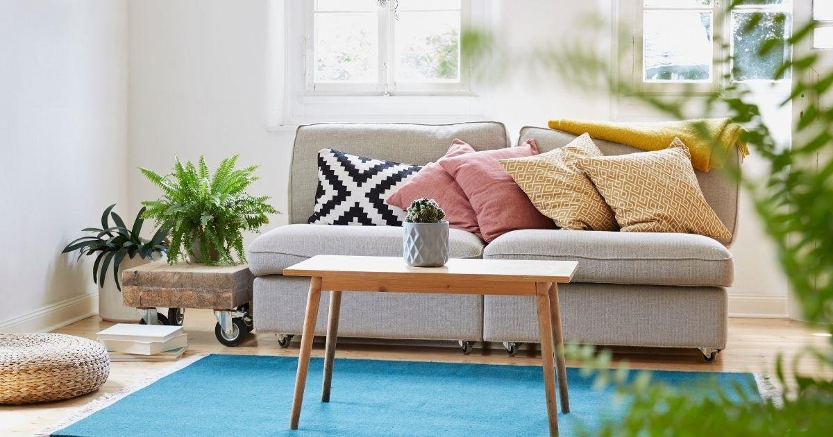 Green Up Your Home With this Cool, and Affordable, Online Plant Company