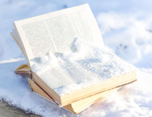 10 Historical Fiction Mysteries Ideal for Winter