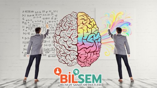 Bilsem 1-2-3 ve 4. Sınıf Çıkmış Sorular PDF İndir | Öğrenci Gündemi