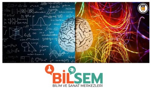 BİLSEM Sınavı Nedir, Ne İşe Yarar? | Öğrenci Gündemi
