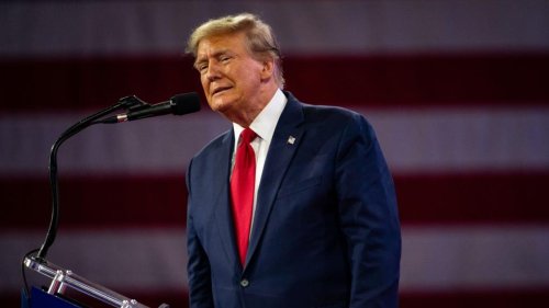 Donald Trump irrt sich im Datum: Er ruft zu Stimmabgabe nach Wahltermin auf