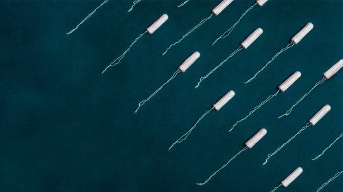 Periode: Diesem Tier sollte man während der Regelblutung nicht zu nahe kommen