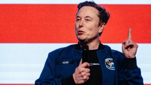 Via Social Media: Elon Musk fordert Frauen auf, seine Kinder zur Welt zu bringen