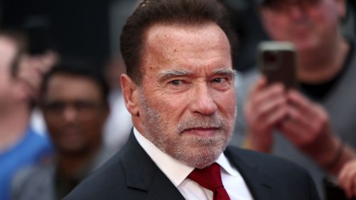 Arnold Schwarzenegger: "Ich habe meiner Familie Leid zugefügt"