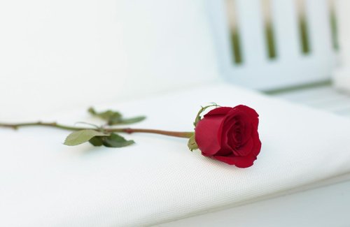 "Der Bachelor": Baby-Hammer hinter den Kulissen