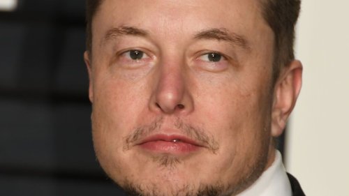 Elon Musk: Baby-Wahnsinn