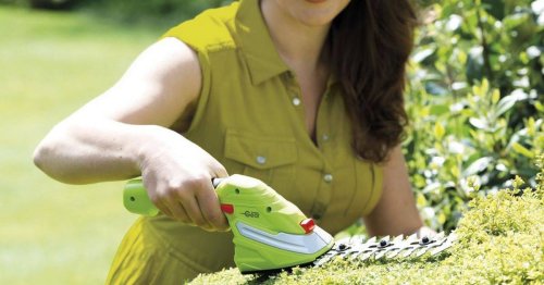 'Handy and lightweight' cordless shears hailed 'best garden tool' for trimming hedges and lawns