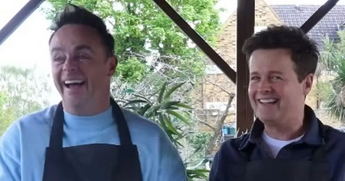Ant and Dec leave fans 'vomiting' after sharing unusual food creation