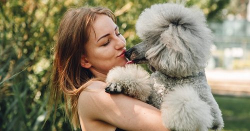 Dog owners could face £1,000 court fines from this week as new bans rolled out