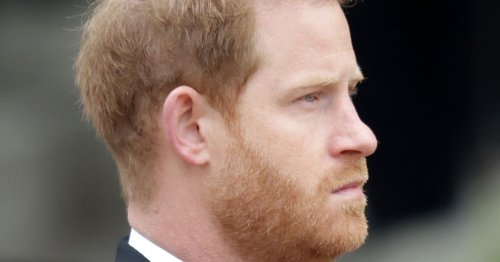 'Rude' Prince Harry summoned by Queen 'to be put back in is place' after row, claims book