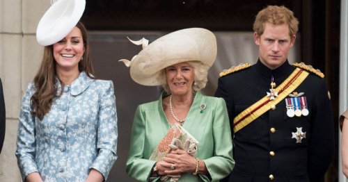 Prince Harry 'said really nasty things about Camilla', her biographer claims
