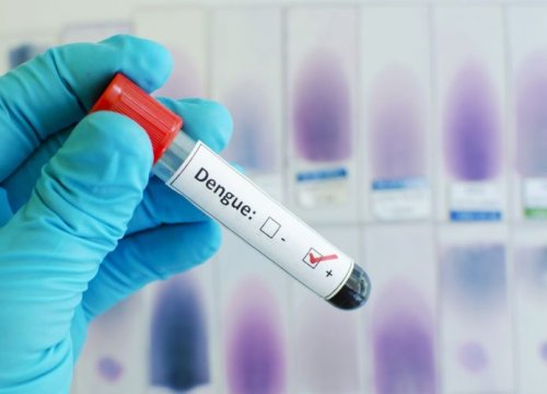 Dengue: apesar da alta nos casos, pico ainda deve ocorrer