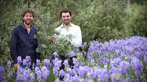2025 NYIOOC Highlights Organic Excellence