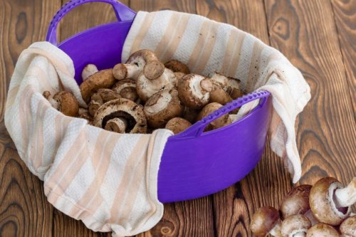 How to Wash Mushrooms Before Using Them