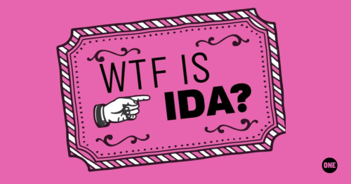 Everything You Need to Know About IDA