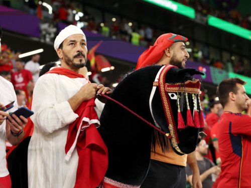 📸 Da steht ein Pferd auf'm Stuhl! Marokkos Fan-Game ist ein anderes Level