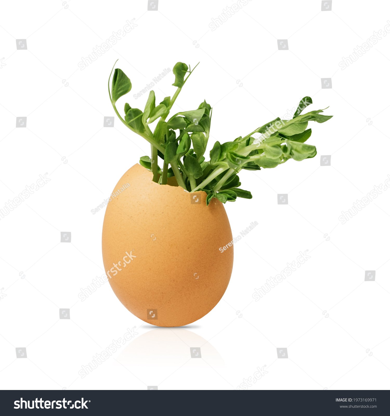 Shortages and High Prices? Here’s Our Best Plant-Based Egg Substitutes