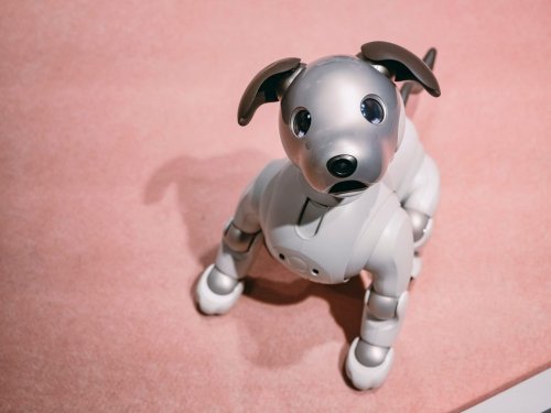 Sony Introduces New AI-Powered Robot Dog