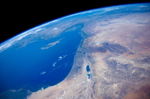 Iran Admits to Launching Animals into Space