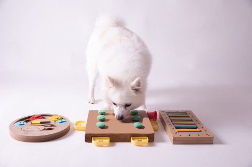 10 Amazing Dog Puzzle Toys! (And Why You Should Be Using Them)