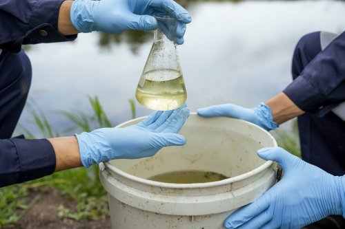 Forever Chemicals in Rainwater: A Global Threat to Human Health