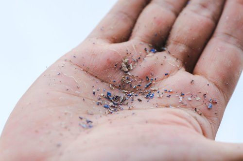 Microplastics Found in Human Placentas Raise Concerns Over Health Impacts