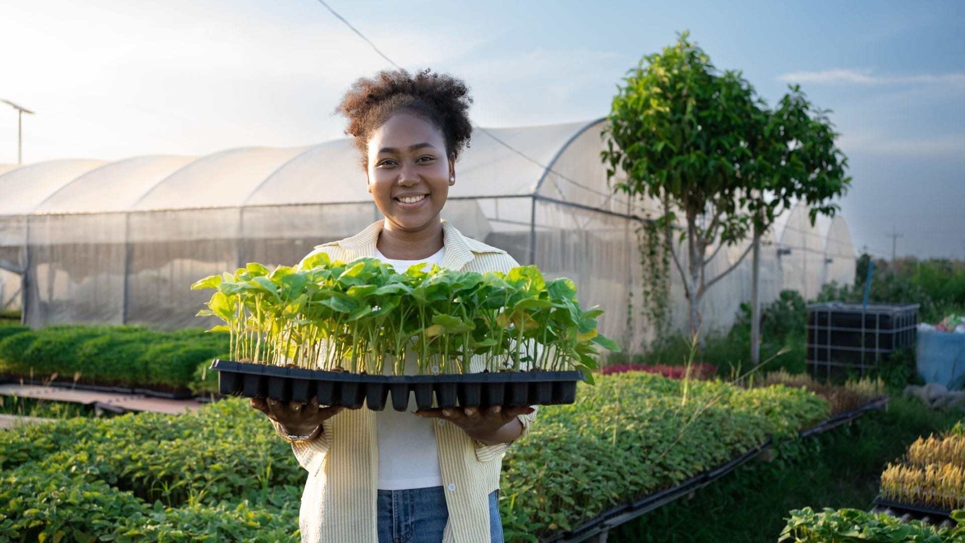 10 cuttingedge methods and technologies revolutionizing sustainable