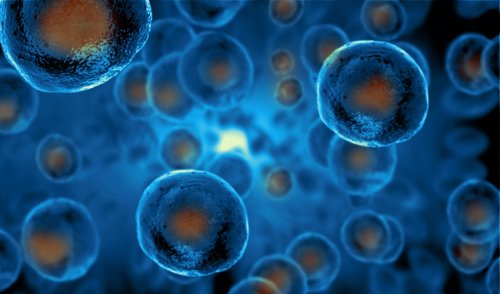 10 Natural Sources to Enhance Cellular Regeneration for Long-Term Health